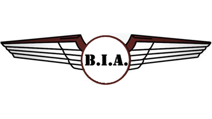 Logo BIA.png